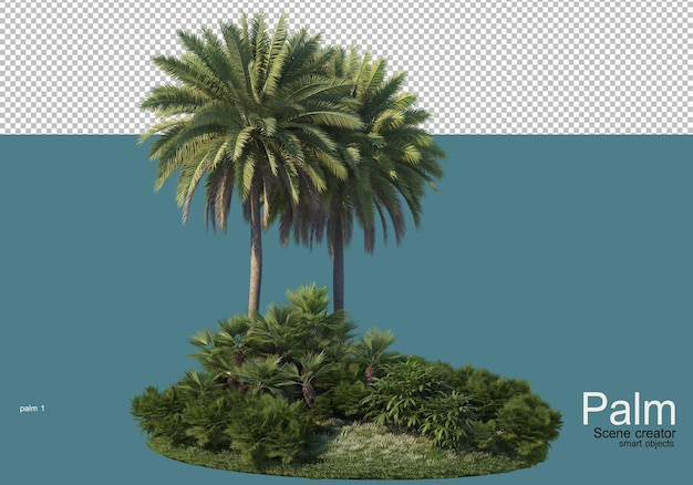 Bello piccolo rendering di piantagioni di palme