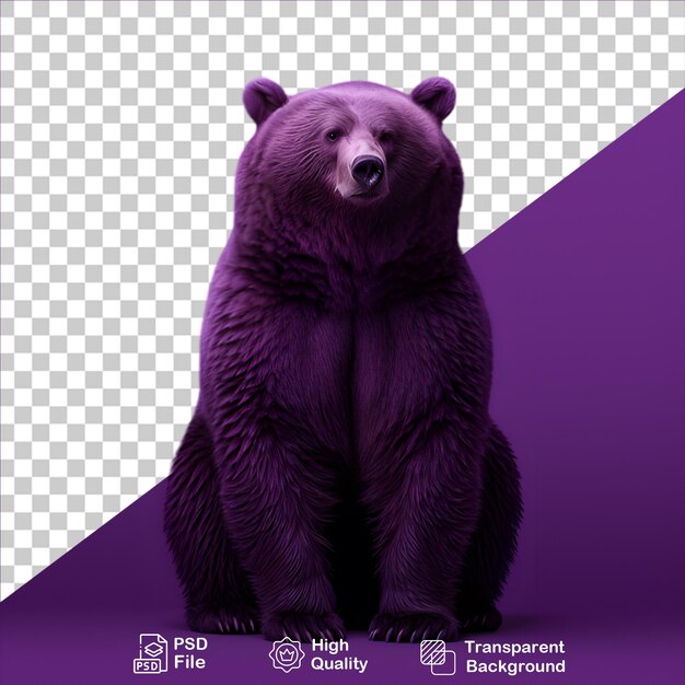 Belo urso roxo isolado em fundo transparente inclui arquivo png