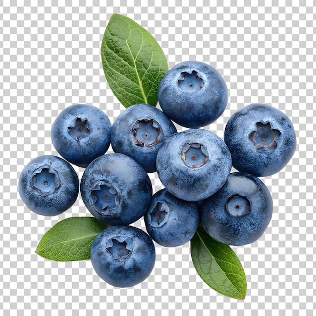 Belos clipart de mirtilo em fundo transparente