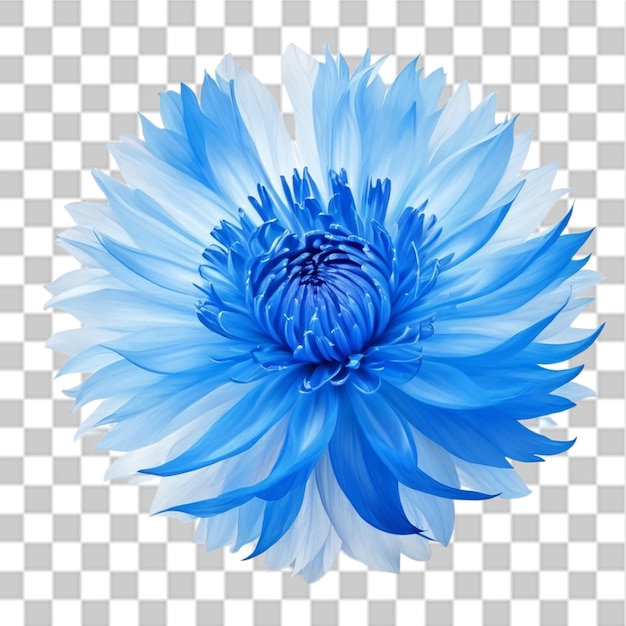 PSD belos desenhos de uma flor com fractal em fundo transparente