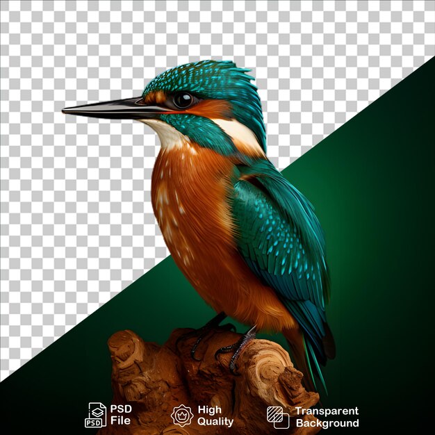 PSD belos kingfisher isolados em fundo transparente incluem arquivo png