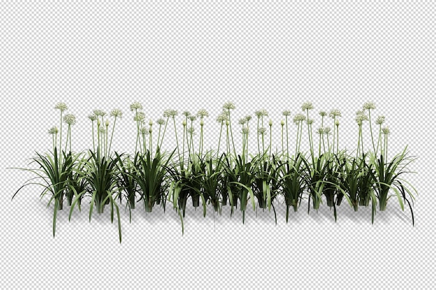 Belos vários tipos de flores em renderização 3d isoladas