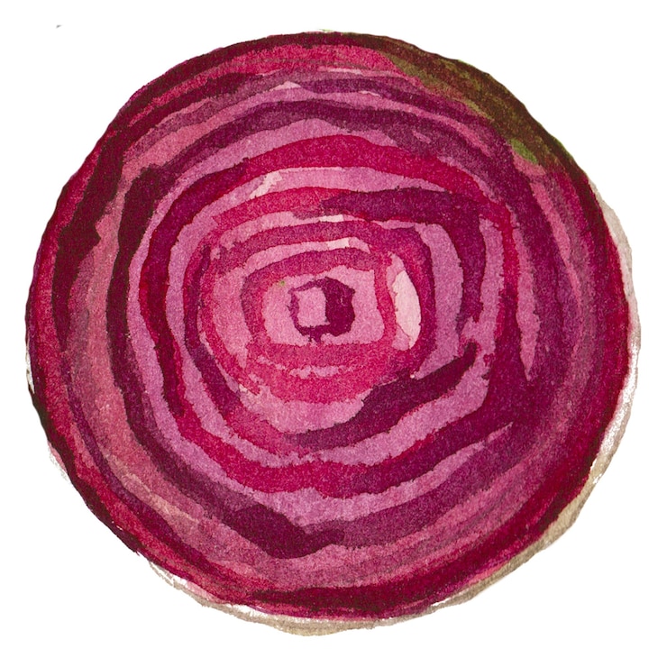 PSD betterave peinte à l'aquarelle élément de conception d'aliments frais dessinés à la main isolé sur fond blanc