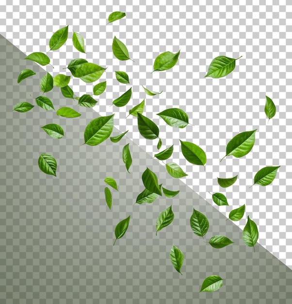 Bewegende grüne Blätter auf weißem Hintergrund ausgeschnitten Stock png