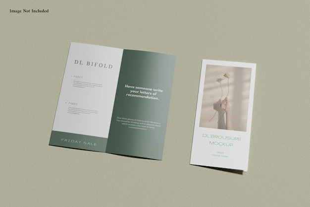 Bifold dl flyer mockup