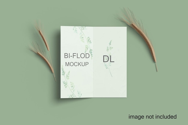 Bifold-Modell