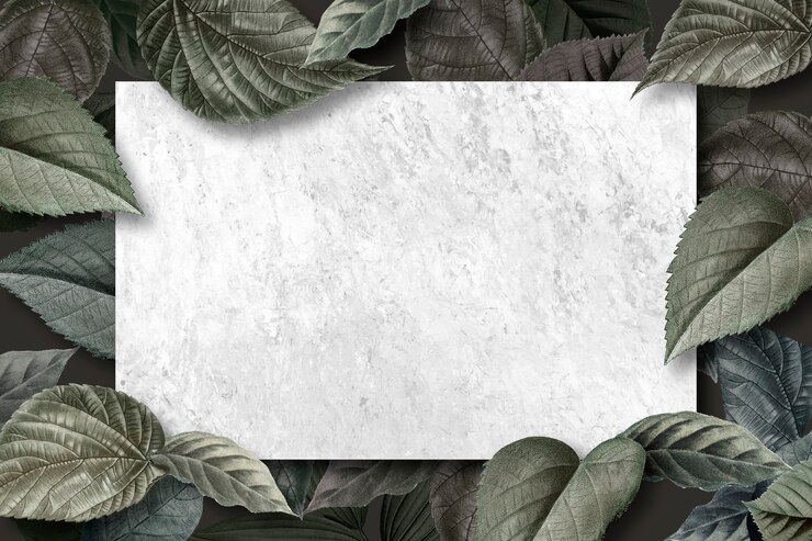 PSD bingkai daun hutan