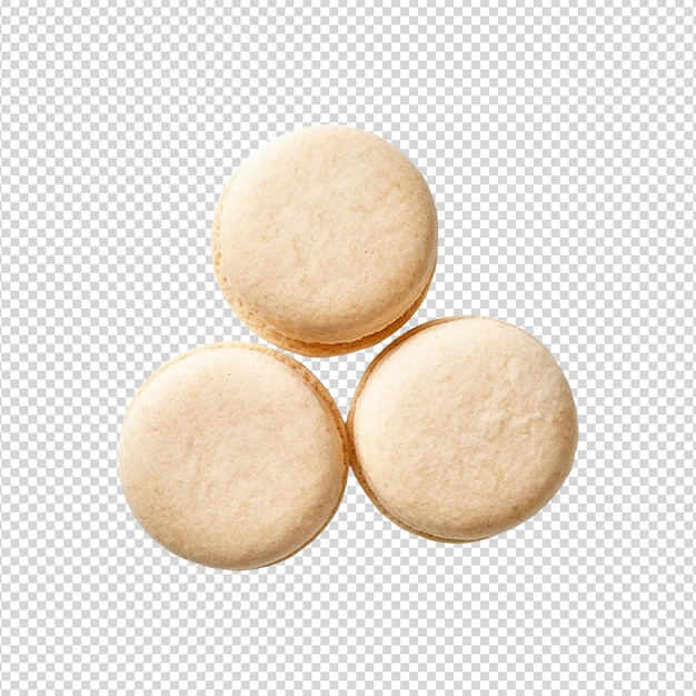 PSD biscuit à puces blanc sur blanc