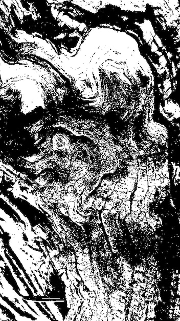 Black tree bark texture Bark on a white background Old tree background vector wooden grunge texture