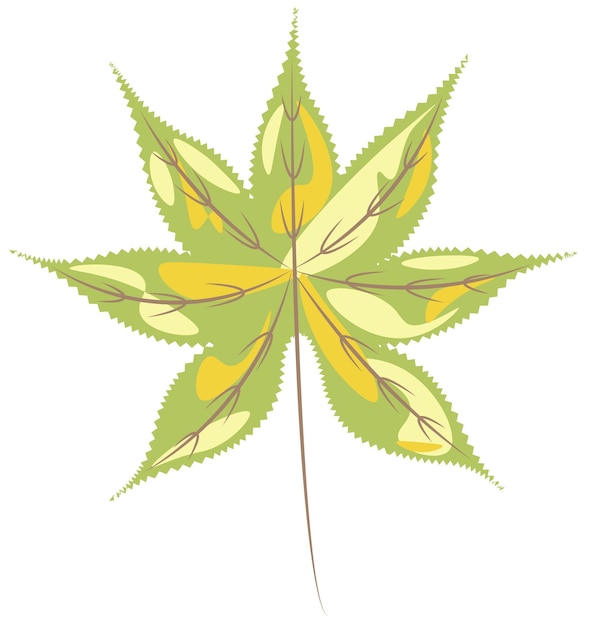 Blätter Clipart