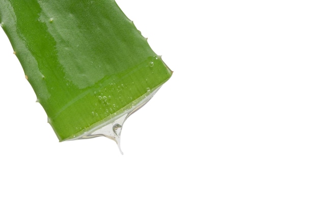 PSD blatt aus grüner, frischer aloe vera mit tropfendem, klarem gel auf weißem hintergrund