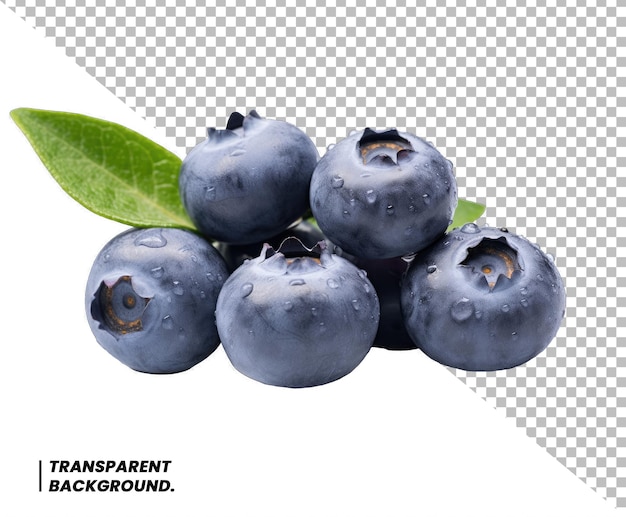 Blaubeeren isoliert