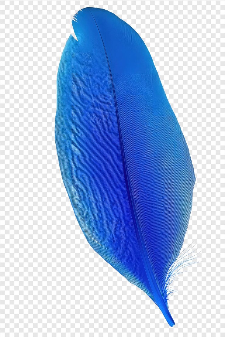 PSD blaue feder mit weißem hintergrund