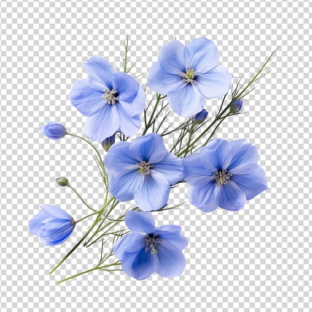 PSD blaue flachsblumen auf durchsichtigem hintergrund