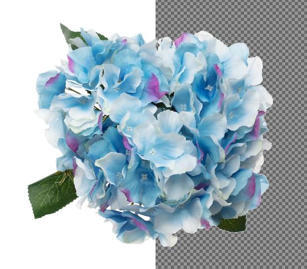 Blaue Hepatica nobilis Blume zeigt viele Winkel Künstliche blaue Hepatika nobilis blume aus Stoff Verwendung in Blumenarrangement Bouquet Einladung Gruß und Hochzeit Weißer Hintergrund isoliert