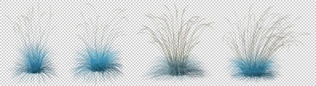 Blaue lange Feder Grasfläche Ausschnitt transparente Hintergründe 3D-Darstellung