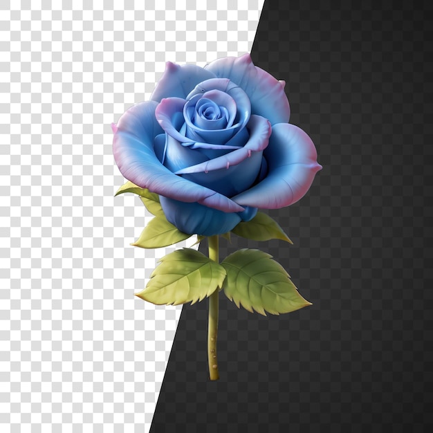 Blaue Rose isoliert