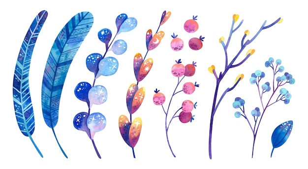 Blaue und lila Pflanzen Federn Blüten Blätter Beeren Aquarell Clipart