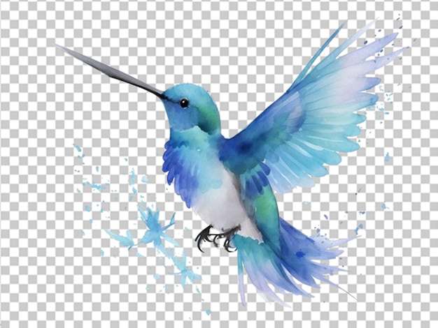 Blaue wasserfarbe fliegender kolibri