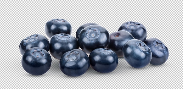 bleuets isolés sur la couche alpha