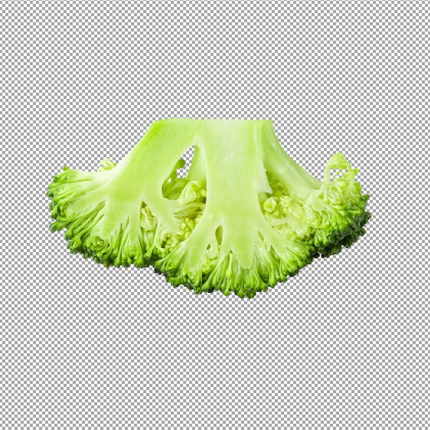 Blocchi di broccoli freschi per cucinare isolati su sfondo alfa.