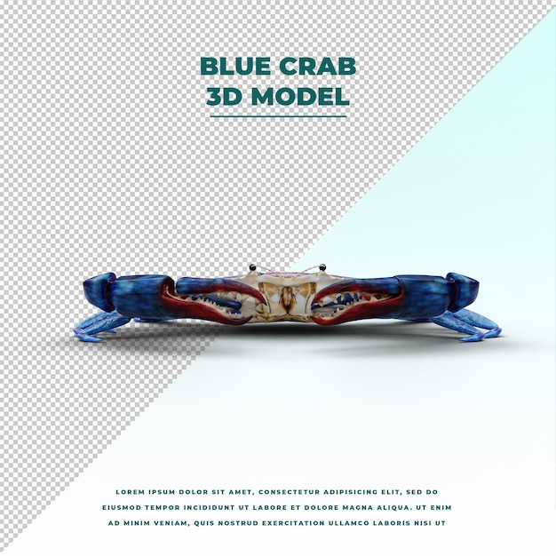 Blue Crab