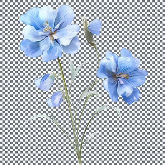 PSD blue hibiscus flowers