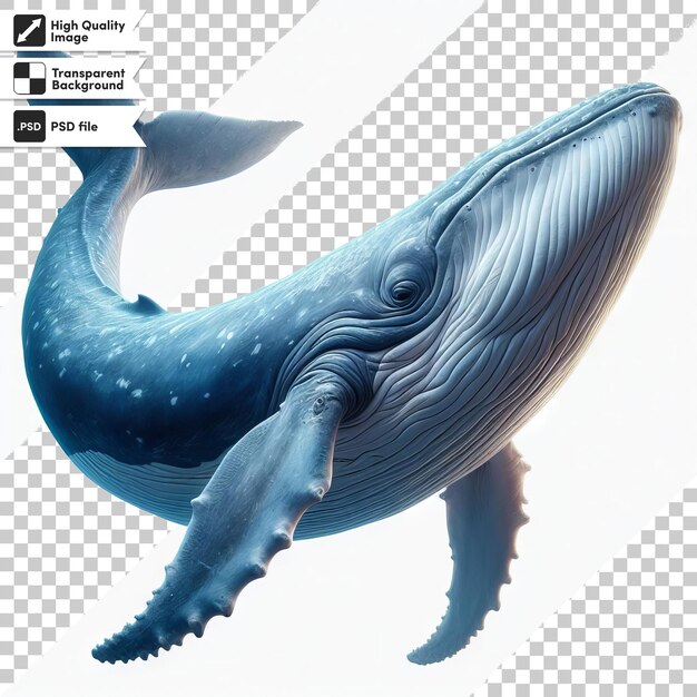 PSD a blue whale with a label that says whale on it