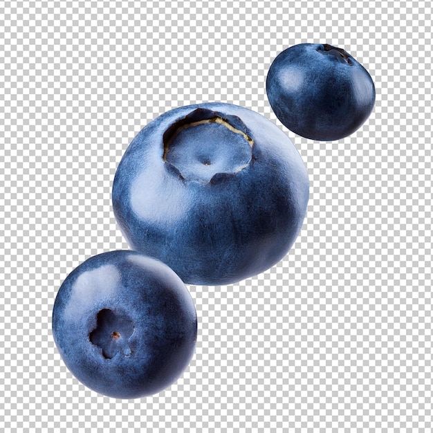 Blueberry transparent Blueberry flottant à fond transparent