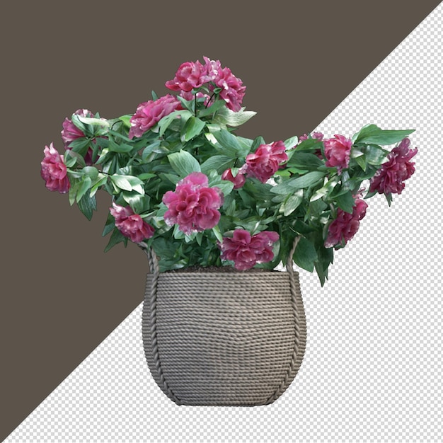 Blume in der vase im 3d-rendering isoliert