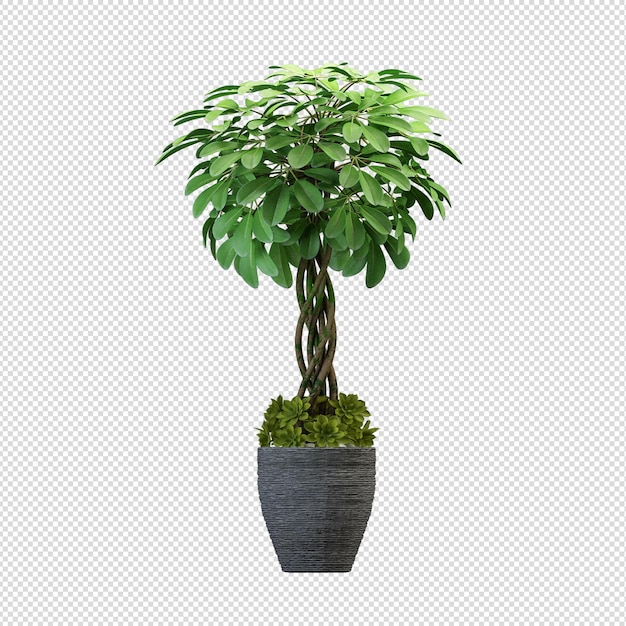 Blumen im Inneren der Vase hautnah