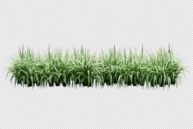 Blumen im Topf in 3D-Rendering isoliert