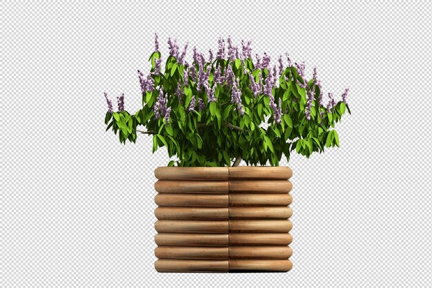 Blumen in der 3D-Darstellung isoliert