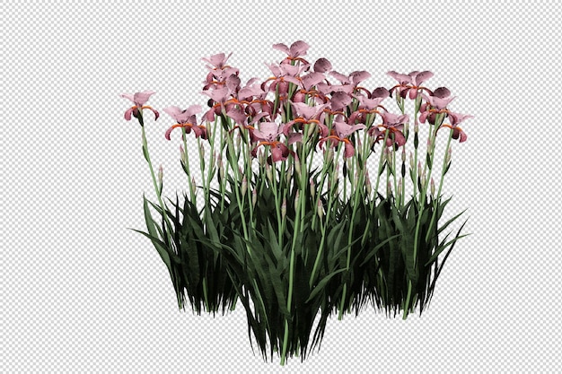 Blumen in der 3D-Darstellung isoliert
