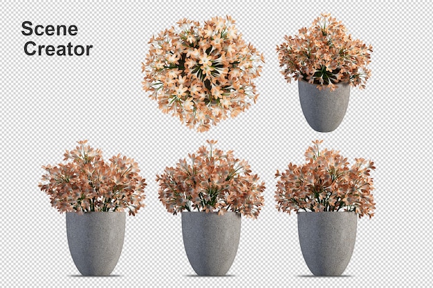 PSD blumen in der vase im 3d-rendering isoliert