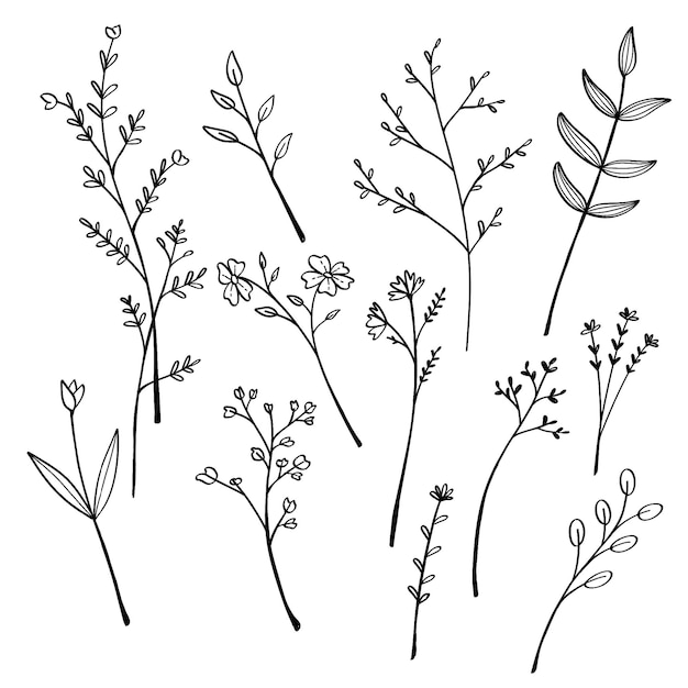 Blumen-Linien-Kunst-Set, Linie Blätter und Blumen