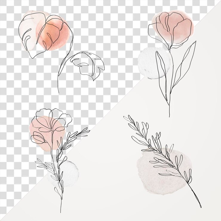 PSD blumen png pastell und schwarze linienkunst weibliche illustrationssatz