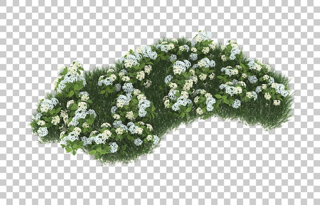 Blumenfeld auf transparentem Hintergrund. 3D-Rendering - Abbildung
