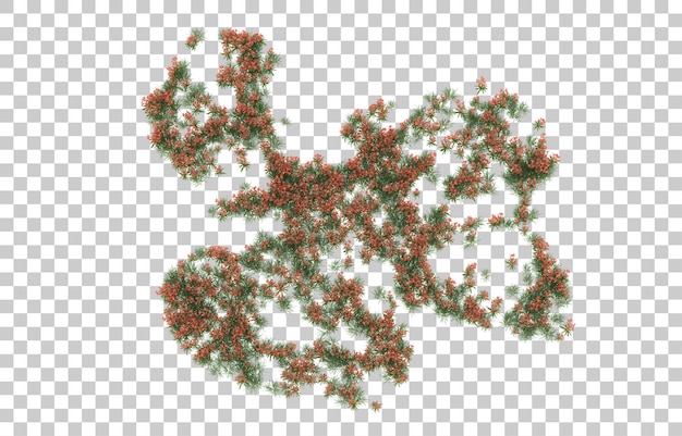 Blumenfeld auf transparentem Hintergrund. 3D-Rendering - Abbildung