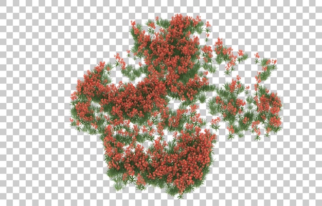 Blumenfeld auf transparentem Hintergrund. 3D-Rendering - Abbildung