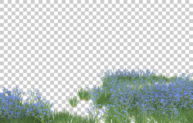 Blumenfeld auf transparentem Hintergrund. 3D-Rendering - Abbildung