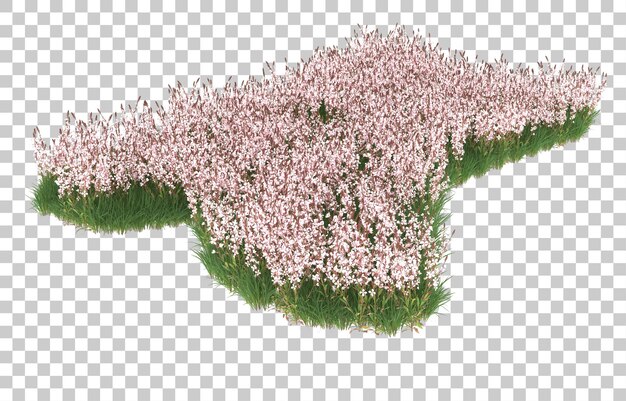 Blumenfeld auf transparentem Hintergrund. 3D-Rendering - Abbildung