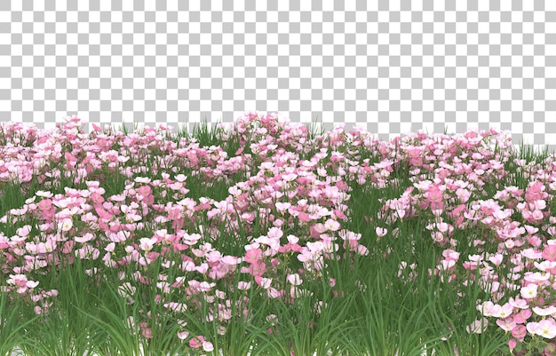 Blumenfeld auf transparentem Hintergrund. 3D-Rendering - Abbildung