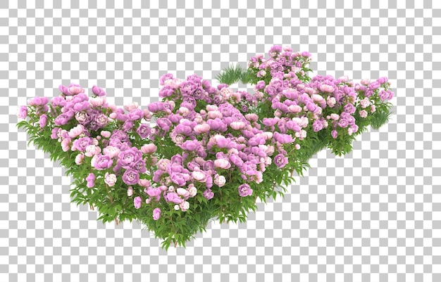 Blumenfeld auf transparentem Hintergrund. 3D-Rendering - Abbildung