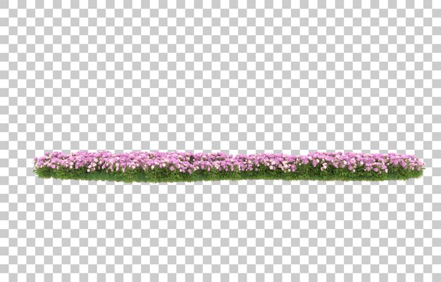 Blumenfeld auf transparentem Hintergrund. 3D-Rendering - Abbildung