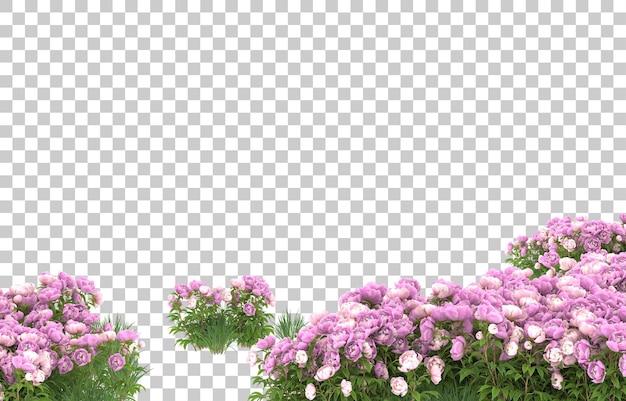 Blumenfeld auf transparentem Hintergrund. 3D-Rendering - Abbildung