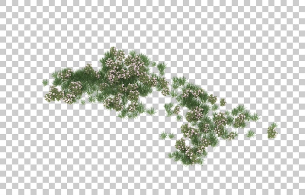 Blumenfeld auf transparentem Hintergrund. 3D-Rendering - Abbildung