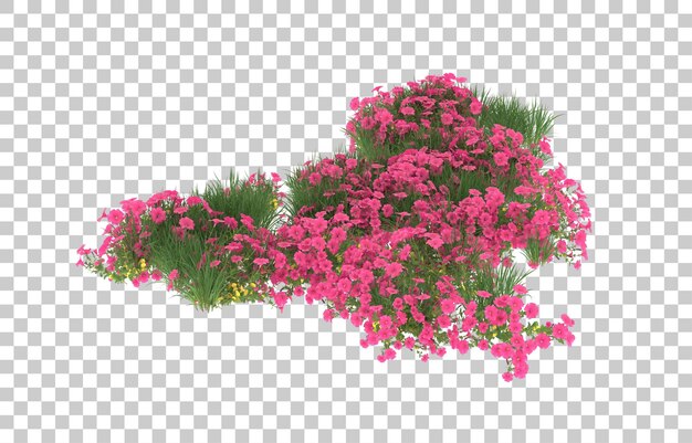 Blumenfeld auf transparentem Hintergrund. 3D-Rendering - Abbildung