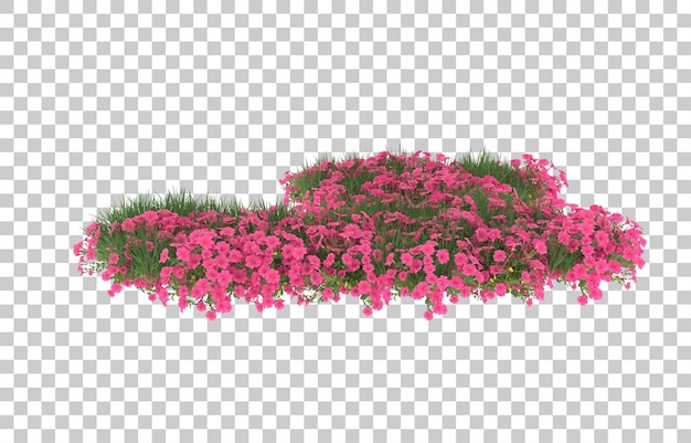Blumenfeld auf transparentem Hintergrund. 3D-Rendering - Abbildung