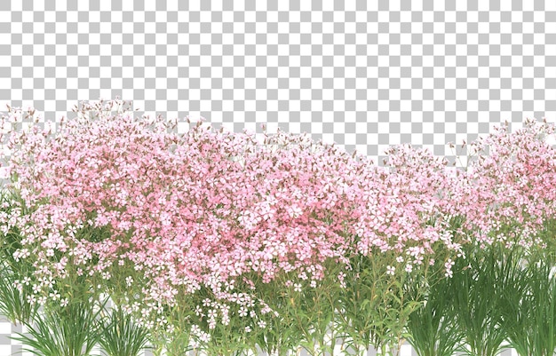 Blumenfeld auf transparentem Hintergrund. 3D-Rendering - Abbildung